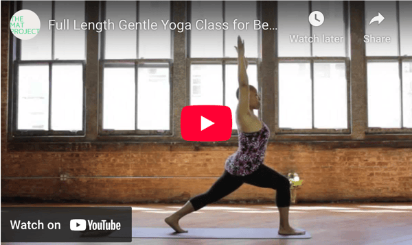 Full Length Gentle Yoga Class for Beginners and Seniors Vol. 1